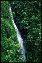 Kahuna Falls in a lush valley. Akaka Falls State Park, Big Island, Hawaii, USA