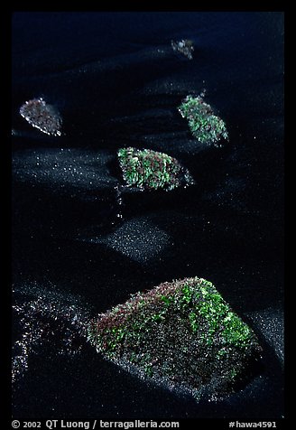 Mossy rocks and black sand, Punaluu black sand beach. Big Island, Hawaii, USA