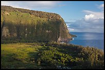 Steep valley walls, Waipio Valley. Big Island, Hawaii, USA (color)