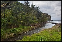 Honokohau creek and coast. Maui, Hawaii, USA ( color)