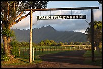 Princeville Ranch gate. Kauai island, Hawaii, USA (color)