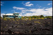 House and recently hardened lava. Big Island, Hawaii, USA (color)