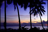 Palm trees at sunset, Leone Bay. Tutuila, American Samoa