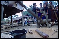 Preparation of rice in a small hamlet. Mekong river, Laos ( color)