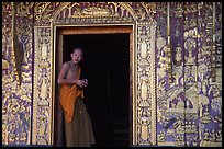 Buddhist novice monk stands at door of shrine, Wat Xieng Thong. Luang Prabang, Laos