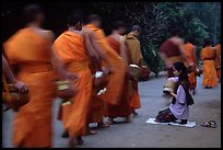 Buddhist monks walking past alm-giving woman. Luang Prabang, Laos (color)