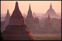 View over temples from Mingalazedi. Bagan, Myanmar (color)