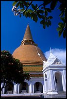 Phra Pathom Chedi, the tallest buddhist monument in the world. Nakkhon Pathom, Thailand (color)