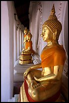 Buddhas images in gallery, Phra Pathom Wat. Nakkhon Pathom, Thailand (color)