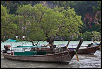 Boats, mangroves, and cliff, Rai Leh East. Krabi Province, Thailand ( color)