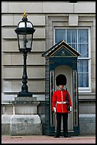 Guard and guerite, Buckingham Palace. London, England, United Kingdom ( color)