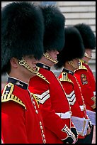 Musicians of the Guard  with tall bearskin hat and red uniforms. London, England, United Kingdom (color)