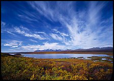 Clouds, tundra in fall color, and lake along Denali Highway. Alaska, USA