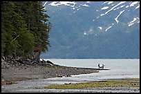 Women fishing and dog, at the edge of Passage Canal Fjord. Whittier, Alaska, USA ( color)