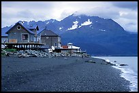 Houses on the beach at Lowell Point. Seward, Alaska, USA (color)