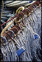 Fishing hooks. Homer, Alaska, USA ( color)