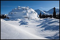 Igloo-shaped building in snowy landscape. Alaska, USA ( color)