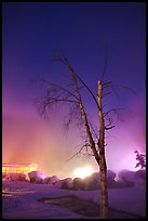 Tree, thermal steam, bathhouse, and stars. Chena Hot Springs, Alaska, USA (color)