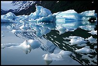 Icebergs and mountain reflections, Portage Lake. Alaska, USA ( color)