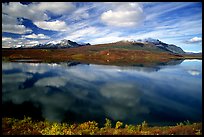 Lake and reflections, Denali Highway. Alaska, USA (color)