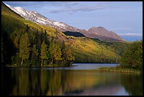 Long Lake with Autum Aspens, late afternoon. Alaska, USA