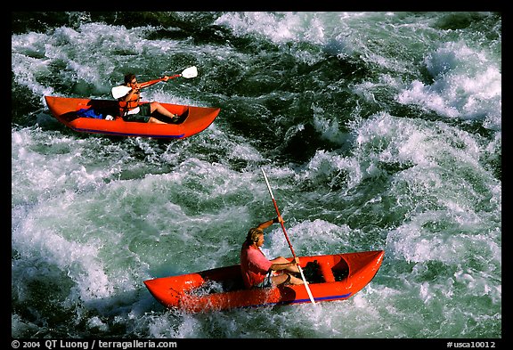 Kayakers on the rapids of the Trinity River, Shasta Trinity National Forest. California, USA