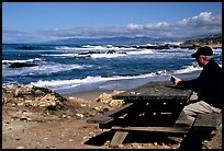 Man reading on a picnic table, Bean Hollow State Beach. San Mateo County, California, USA (color)
