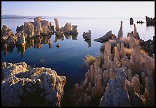 Tufa formations, South Tufa area, early morning. Mono Lake, California, USA ( color)