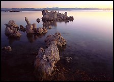 Tufa rock on south shore at sunrise. Mono Lake, California, USA