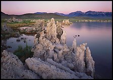 Tufas, South Tufa area,  dawn. Mono Lake, California, USA ( color)