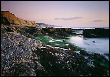 Mussel-covered rocks, seaweed and cliffs, sunset. Point Reyes National Seashore, California, USA