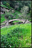 Stone bridge, Alum Rock Park. San Jose, California, USA (color)