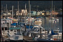 Boats and Fisherman's Wharf, afternoon, Monterey. Monterey, California, USA ( color)