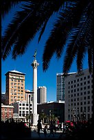 Union square and column framed by palm trees, afternoon. San Francisco, California, USA ( color)