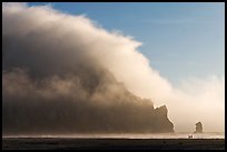 Morro Rock engulfed by afternoon fog. Morro Bay, USA ( color)