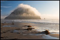 Beach with seaweed, and Morro Rock capped by afternoon fog. Morro Bay, USA ( color)