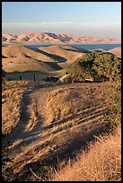Golden hills and San Luis Reservoir. California, USA