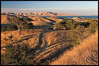 Rural path amongst oak and golden hills, San Luis Reservoir State Rec Area. California, USA ( color)