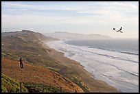 Man piloting model glider, Fort Funston, late afternoon. San Francisco, California, USA