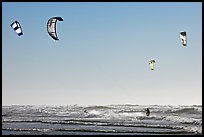 Multitude of kite surfing wings, afternoon. San Francisco, California, USA (color)