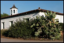 Cactus and adobe house, Old Town State Historic Park. San Diego, California, USA ( color)