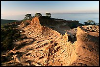 Broken Hill and Ocean,  Torrey Pines State Preserve. La Jolla, San Diego, California, USA ( color)