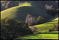 Pastures and hills. California, USA (color)