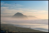 Motorized paraglider, women walking dog, with Morro Rock in the distance. Morro Bay, USA ( color)