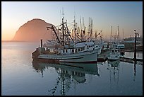 Fishing fleet and Morro Rock, sunset. Morro Bay, USA ( color)