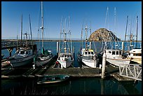 Harbor and Morro Rock, morning. Morro Bay, USA ( color)