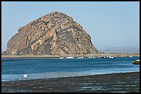 Yachts and Morro Rock. Morro Bay, USA ( color)