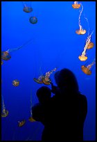 Woman holding child in front of jellyfish, Monterey Bay Aquarium. Monterey, California, USA