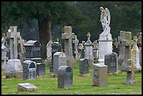 Variety of headstones, Colma. California, USA (color)