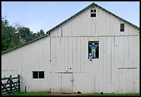 Barn with figures in window and cats, Happy Hollow Farm, Rancho San Antonio Park, Los Altos. California, USA ( color)
